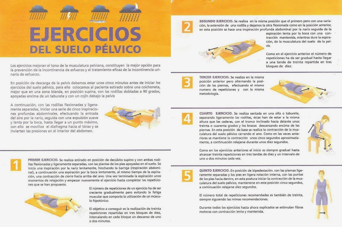 ejercicios suelo pelvico embarazo